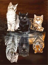 Load image into Gallery viewer, Evershine 5D Diamond Painting Cat Full Square Diamond Embroidery Animals Reflection Pictures Of Rhinestones Mosaic Home Decor