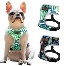 Load image into Gallery viewer, Breathable French Bulldog Harness Printed Reflective Dogs Harness Puppy Small Medium Dogs Cats Vest For Pug Walking Training