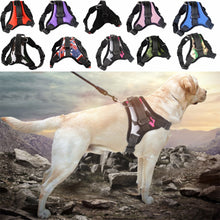 Load image into Gallery viewer, Pet Dog and Cat Adjustable Harness with Leash Reflective and Breathable for Small and Large Dog Harness Vest Pet Supplies