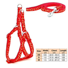 Load image into Gallery viewer, Small Dog Cat Harness Leash Adjustable Vest Collar Puppy Outdoor Walking Chihuahua Terier Schnauzer