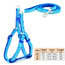 Load image into Gallery viewer, Small Dog Cat Harness Leash Adjustable Vest Collar Puppy Outdoor Walking Chihuahua Terier Schnauzer
