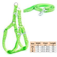 Load image into Gallery viewer, Small Dog Cat Harness Leash Adjustable Vest Collar Puppy Outdoor Walking Chihuahua Terier Schnauzer