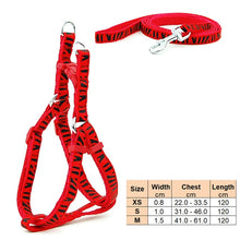 Load image into Gallery viewer, Small Dog Cat Harness Leash Adjustable Vest Collar Puppy Outdoor Walking Chihuahua Terier Schnauzer