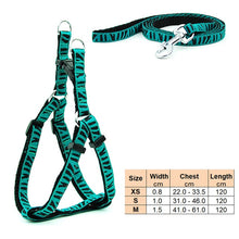 Load image into Gallery viewer, Small Dog Cat Harness Leash Adjustable Vest Collar Puppy Outdoor Walking Chihuahua Terier Schnauzer