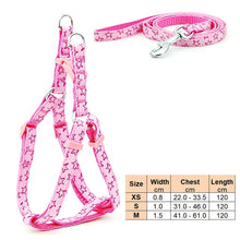 Load image into Gallery viewer, Small Dog Cat Harness Leash Adjustable Vest Collar Puppy Outdoor Walking Chihuahua Terier Schnauzer
