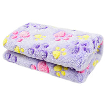 Load image into Gallery viewer, Soft and Fluffy High Quality Pet Blanket Cute Cartoon Pattern Pet Mat Warm and Comfortable Blanket for Cat and Dogs Pet Supplies