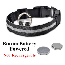 Load image into Gallery viewer, USB Rechargeable Pet Dog LED Glowing Collar Luminous Flashing Necklace Outdoor Walking Night Safety Supplies