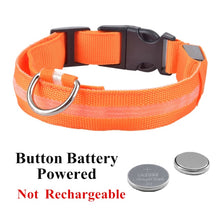 Load image into Gallery viewer, USB Rechargeable Pet Dog LED Glowing Collar Luminous Flashing Necklace Outdoor Walking Night Safety Supplies