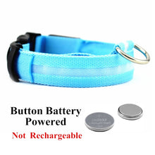 Load image into Gallery viewer, USB Rechargeable Pet Dog LED Glowing Collar Luminous Flashing Necklace Outdoor Walking Night Safety Supplies