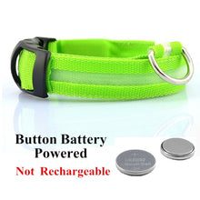 Load image into Gallery viewer, USB Rechargeable Pet Dog LED Glowing Collar Luminous Flashing Necklace Outdoor Walking Night Safety Supplies