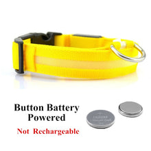 Load image into Gallery viewer, USB Rechargeable Pet Dog LED Glowing Collar Luminous Flashing Necklace Outdoor Walking Night Safety Supplies