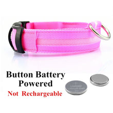 Load image into Gallery viewer, USB Rechargeable Pet Dog LED Glowing Collar Luminous Flashing Necklace Outdoor Walking Night Safety Supplies