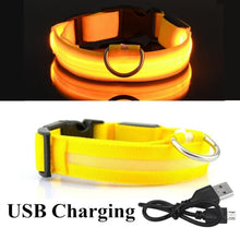 Load image into Gallery viewer, USB Rechargeable Pet Dog LED Glowing Collar Luminous Flashing Necklace Outdoor Walking Night Safety Supplies