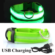 Load image into Gallery viewer, USB Rechargeable Pet Dog LED Glowing Collar Luminous Flashing Necklace Outdoor Walking Night Safety Supplies