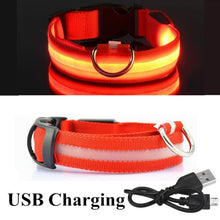 Load image into Gallery viewer, USB Rechargeable Pet Dog LED Glowing Collar Luminous Flashing Necklace Outdoor Walking Night Safety Supplies
