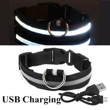 Load image into Gallery viewer, USB Rechargeable Pet Dog LED Glowing Collar Luminous Flashing Necklace Outdoor Walking Night Safety Supplies