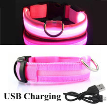 Load image into Gallery viewer, USB Rechargeable Pet Dog LED Glowing Collar Luminous Flashing Necklace Outdoor Walking Night Safety Supplies