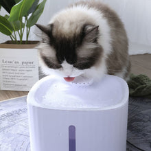 Load image into Gallery viewer, Cat Fountain Cat Water Dispenser Dog Circulates Drinking Bowl and Filters Mute Dog Water Dispensers Cat Water Fountain Feeder