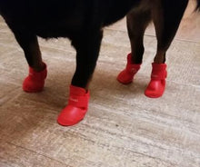 Load image into Gallery viewer, 4pcs/lot S/M/L Pet Dog Rain Shoes for Dogs Booties Rubber Portable Anti Slip Waterproof Pet Dog Cat Rain Shoes

