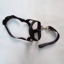 Load image into Gallery viewer, Harness Adjustable Muzzle Dog Halter Leader Belt Dog Collar Head Collar No Pull Bite Straps Training Leash Leader

