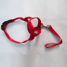 Load image into Gallery viewer, Harness Adjustable Muzzle Dog Halter Leader Belt Dog Collar Head Collar No Pull Bite Straps Training Leash Leader
