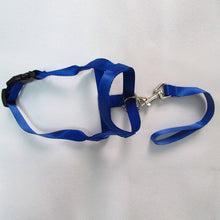Load image into Gallery viewer, Harness Adjustable Muzzle Dog Halter Leader Belt Dog Collar Head Collar No Pull Bite Straps Training Leash Leader
