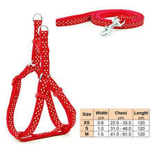 Load image into Gallery viewer, Small Dog Cat Harness Leash Adjustable Vest Collar Puppy Outdoor Walking Chihuahua Terier Schnauzer
