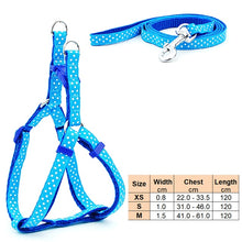Load image into Gallery viewer, Small Dog Cat Harness Leash Adjustable Vest Collar Puppy Outdoor Walking Chihuahua Terier Schnauzer
