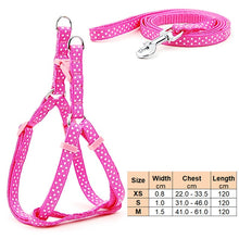 Load image into Gallery viewer, Small Dog Cat Harness Leash Adjustable Vest Collar Puppy Outdoor Walking Chihuahua Terier Schnauzer
