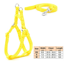 Load image into Gallery viewer, Small Dog Cat Harness Leash Adjustable Vest Collar Puppy Outdoor Walking Chihuahua Terier Schnauzer
