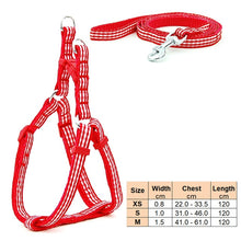 Load image into Gallery viewer, Small Dog Cat Harness Leash Adjustable Vest Collar Puppy Outdoor Walking Chihuahua Terier Schnauzer
