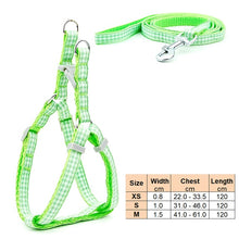 Load image into Gallery viewer, Small Dog Cat Harness Leash Adjustable Vest Collar Puppy Outdoor Walking Chihuahua Terier Schnauzer

