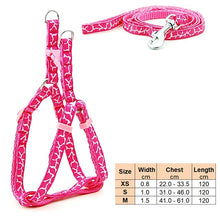 Load image into Gallery viewer, Small Dog Cat Harness Leash Adjustable Vest Collar Puppy Outdoor Walking Chihuahua Terier Schnauzer
