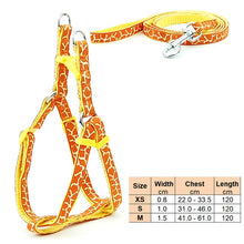 Load image into Gallery viewer, Small Dog Cat Harness Leash Adjustable Vest Collar Puppy Outdoor Walking Chihuahua Terier Schnauzer
