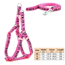 Load image into Gallery viewer, Small Dog Cat Harness Leash Adjustable Vest Collar Puppy Outdoor Walking Chihuahua Terier Schnauzer
