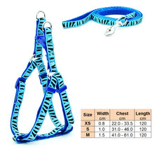 Load image into Gallery viewer, Small Dog Cat Harness Leash Adjustable Vest Collar Puppy Outdoor Walking Chihuahua Terier Schnauzer
