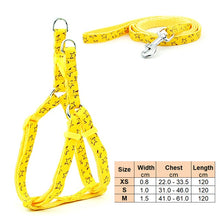 Load image into Gallery viewer, Small Dog Cat Harness Leash Adjustable Vest Collar Puppy Outdoor Walking Chihuahua Terier Schnauzer
