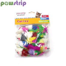 Load image into Gallery viewer, pawstrip 12pcs/pack Colorful Feather Cat Toys False Mouse Kitten Cat Toy With Sound Rattling
