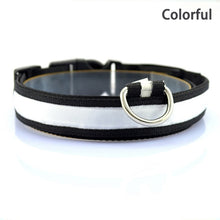 Load image into Gallery viewer, Leopard LED Dog Collar Luminous Adjustable Glowing Collar For Dogs Pet Night Safety Nylon Collar Luminous LED Bright Dog Collar
