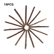 Load image into Gallery viewer, Natural Catnip Pet Cat Molar Toothpaste Stick Matatabi Actinidia Fruit Silvervine Cat Snacks Sticks Pet Cleaning Teeth

