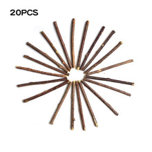 Load image into Gallery viewer, Natural Catnip Pet Cat Molar Toothpaste Stick Matatabi Actinidia Fruit Silvervine Cat Snacks Sticks Pet Cleaning Teeth

