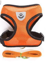 Load image into Gallery viewer, Dog Harness Cat Harness Dogs Leashs Training Soft Mesh Chest Strap Supplies Adjustable Outdoor Walking Cat Lead For Dog And Cats
