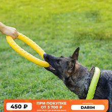 Load image into Gallery viewer, Pet Flying Discs EVA Dog Training Ring Puller Resistant Bite Floating Toy Puppy Outdoor Interactive Game Playing Products Supply
