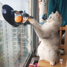 Load image into Gallery viewer, Pet Cat Ball Toy Sucker Track With Balls Tunnel toy Tracks toy Pet cat Intelligence Toys Cat Toys Interactive Track Ball Toy
