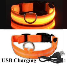 Load image into Gallery viewer, USB Rechargeable Pet Dog LED Glowing Collar  Luminous Flashing Necklace Outdoor Walking  Night Safety Supplies
