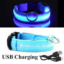 Load image into Gallery viewer, USB Rechargeable Pet Dog LED Glowing Collar  Luminous Flashing Necklace Outdoor Walking  Night Safety Supplies
