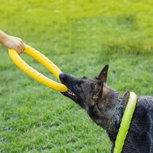 Load image into Gallery viewer, Pet Flying Discs EVA Dog Training Ring Puller Resistant Bite Floating Toy Puppy Outdoor Interactive Game Playing Products Supply
