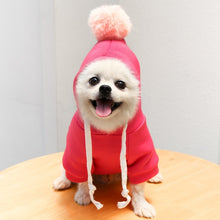 Load image into Gallery viewer, Warm Dog Winter Clothes Cute Fruit Dog Coat Hoodies Fleece Pet Dogs Costume Jacket for French Bulldog Chihuahua Ropa Para Perro
