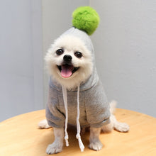 Load image into Gallery viewer, Warm Dog Winter Clothes Cute Fruit Dog Coat Hoodies Fleece Pet Dogs Costume Jacket for French Bulldog Chihuahua Ropa Para Perro
